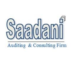 Public Accountants  Management Consultants  IT Consultants  Tax Consultants