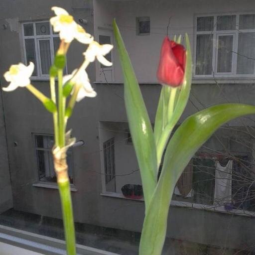 EvliMutluÇocuklu # 
Esenler İlçe Sağlık Müdürlüğü'nde Ebe