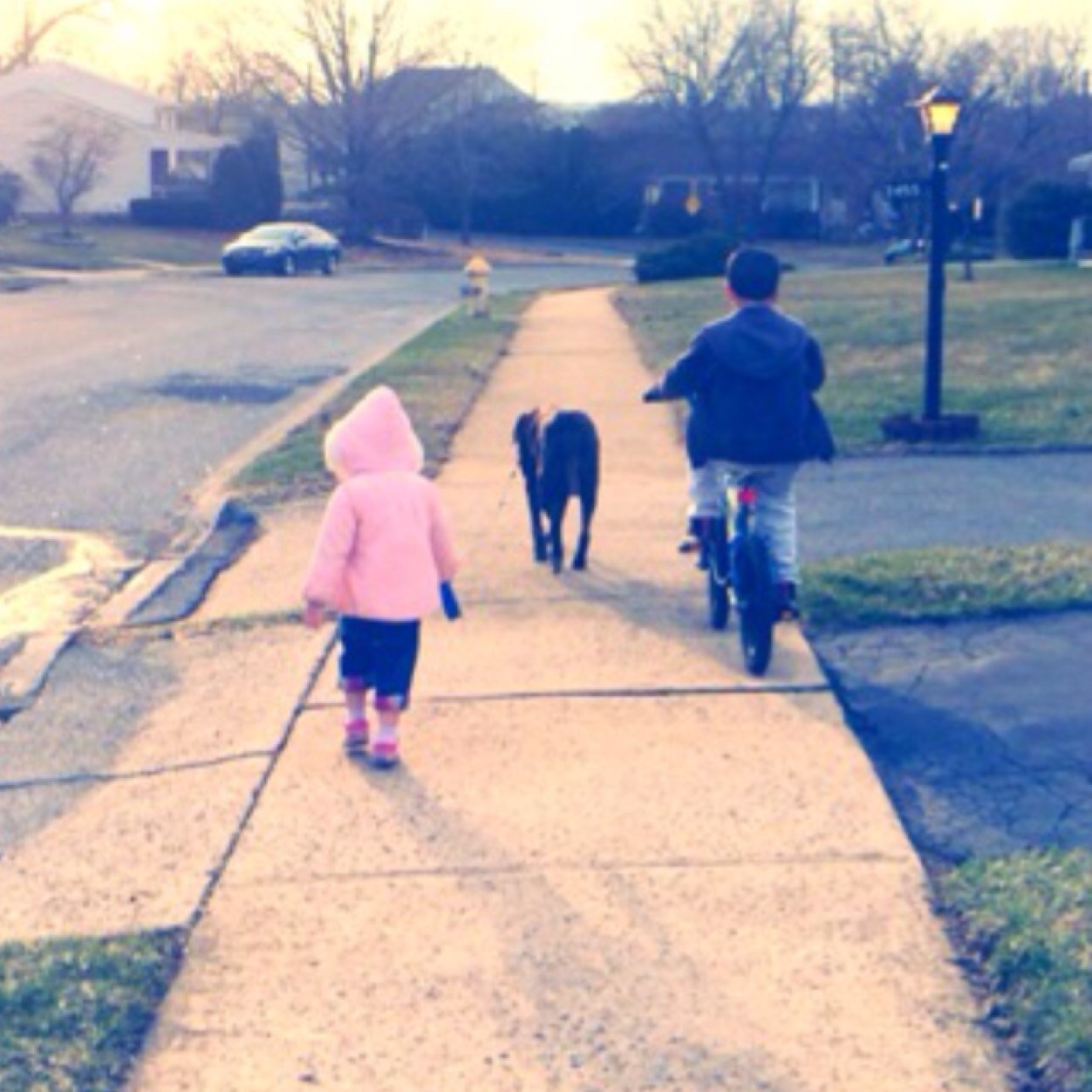 Stoogle_knows's profile picture. Just a regular guy, doing regular things... Husband, Father, Chef...