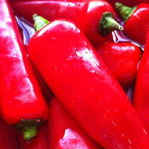 TinaBerthelsen's profile picture. 