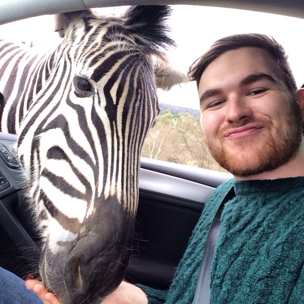 Henry_Apples's profile picture. TITS