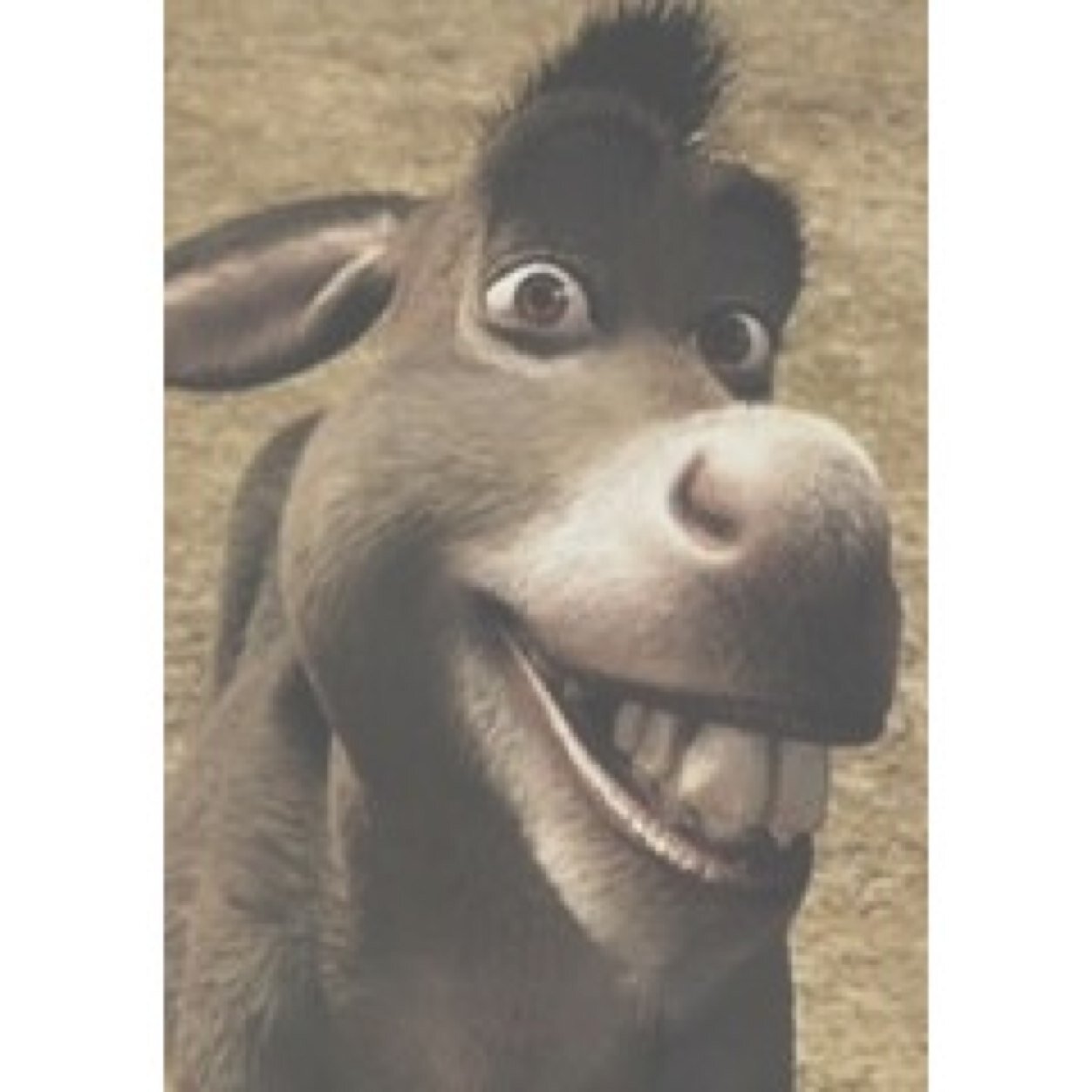 Just a regular old donkey that has the ability to talk. I like parfait. Parfait is delicious.
{RP/FL|Literate|18+}