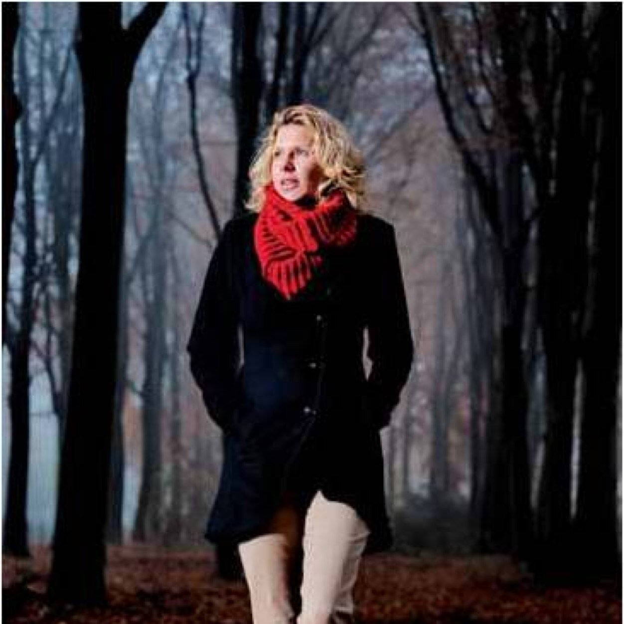 Prof.dr. Charissa Freese is bijzonder hoogleraar HRM en Sociale Zekerheid bij Tilburg University en Vice Dean bij TIAS School for Business & Society.