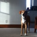 Jaime Blake - @jaime_blake - Twitter