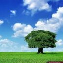 خليل (@0597166495) Twitter