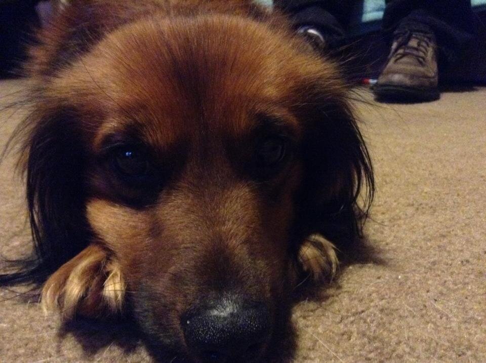 elledgesucks's profile picture. I love friends :) Add me please!