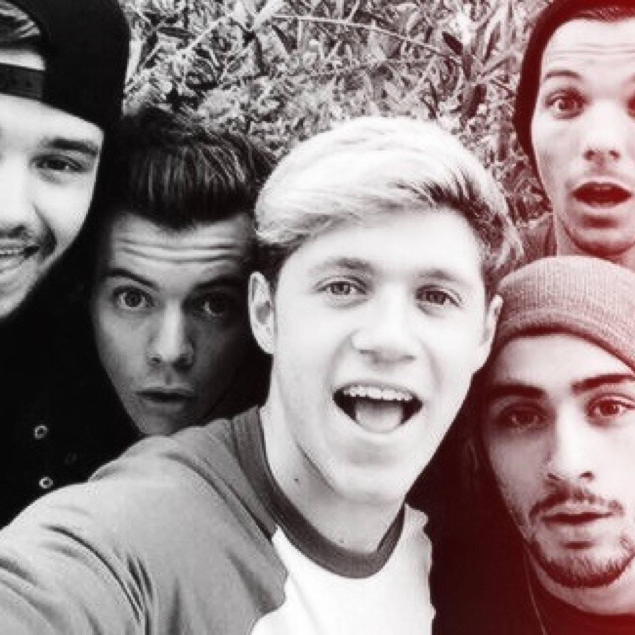 ✌ liam payne called me darling and niall horan hugged me✌ ♡ Niall/5 ♡
