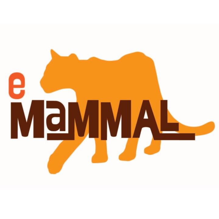 eMammal works with citizen scientists and camera traps to conduct large scale mammal surveys coordinated by NC Museum of Natural Sciences and the Smithsonian.