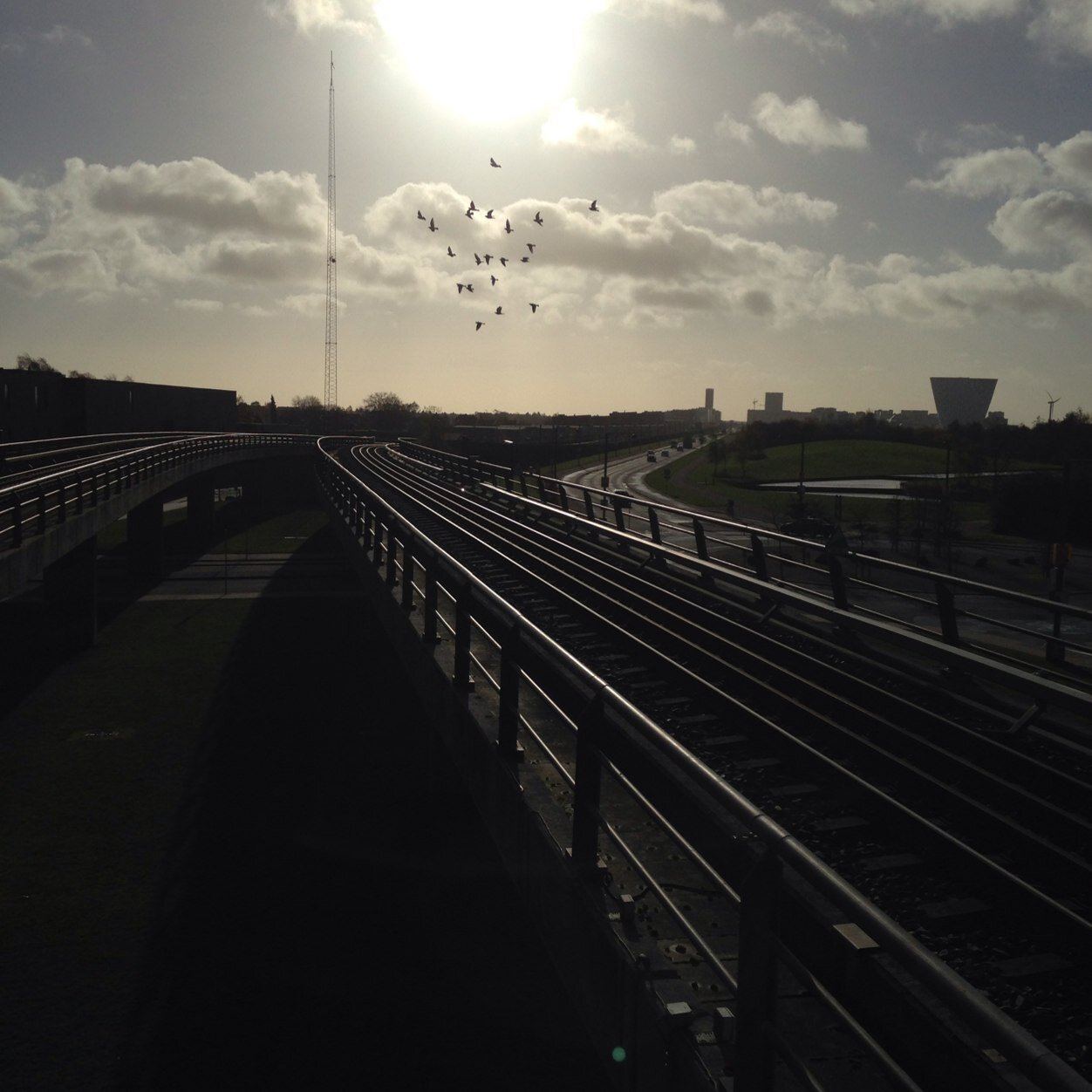 BorisBoogie's profile picture. The Boris Boogie Beat Band @ Twitter