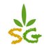Sahara Green (@thesaharagreen) Twitter profile photo