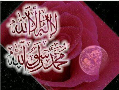 وما توفيقى الا بالله.