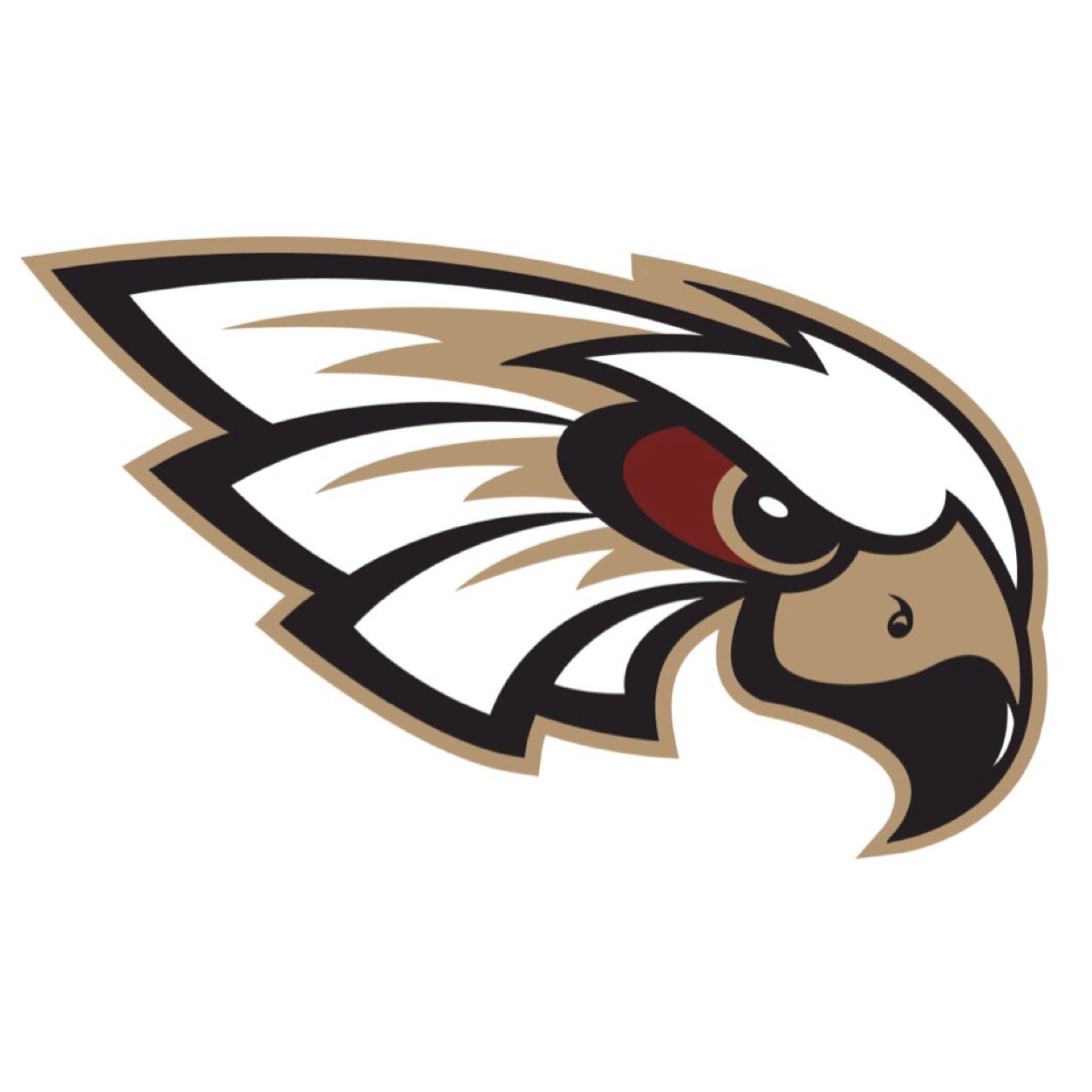 CoeProblems's profile picture. Stay classy Coe College...or at least try your best. #KohawkNation #CoeProblems