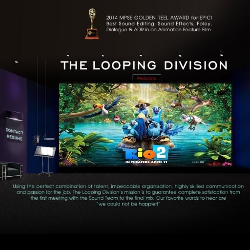The Looping Division