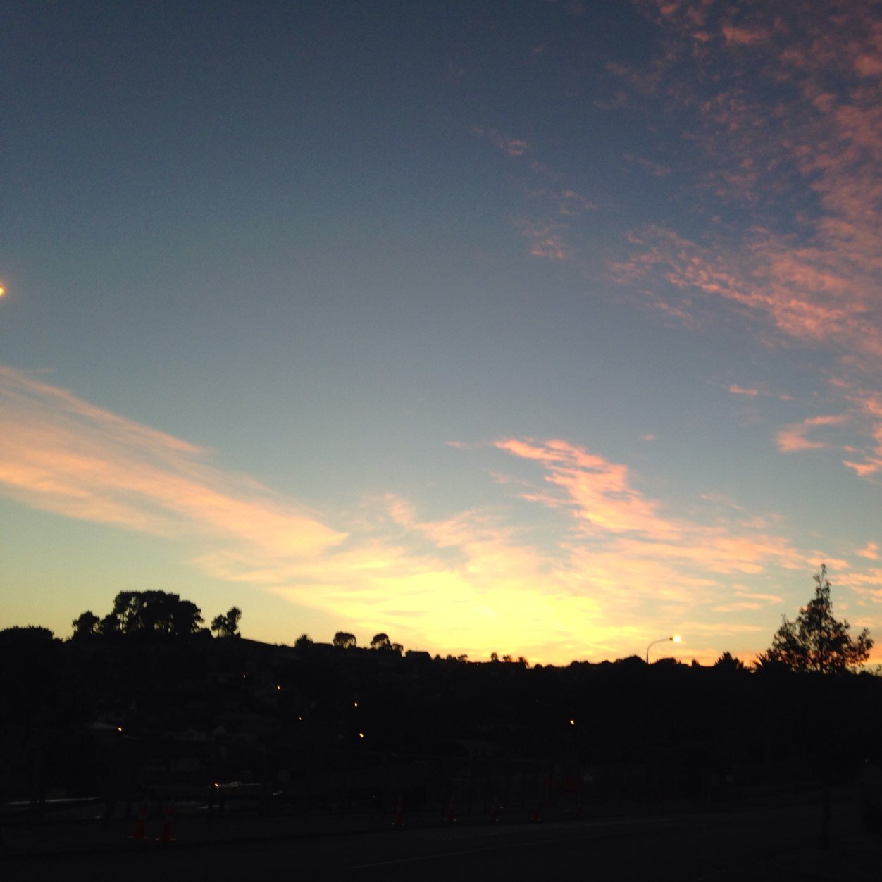 kimberly_31094's profile picture. 