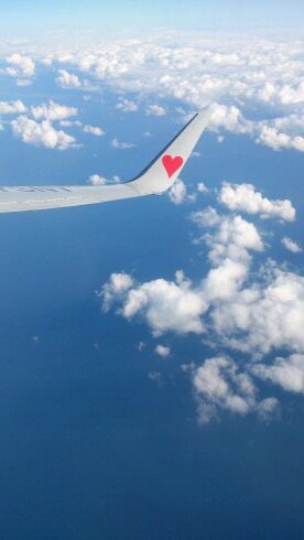 太陽さんのプロフィール画像