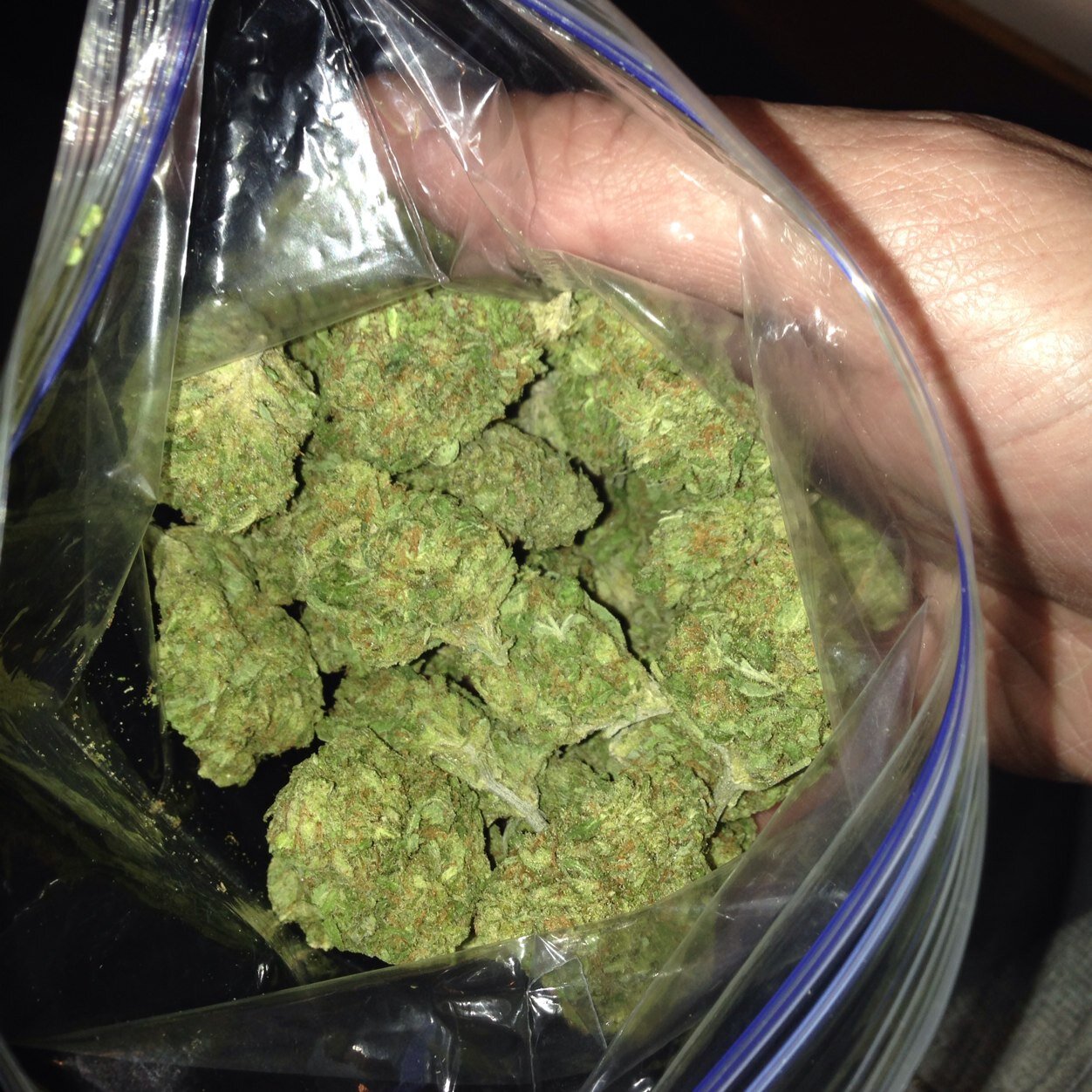 styckygreen's profile picture. Hey, the name's Sticky. Cancer survivor, 27. Advocate for the Medicinal and recreational uses of Marijuana