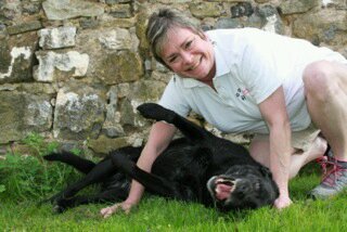 Positive Reinforcement Dog Trainer - Train without Pain!