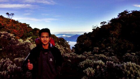 dhea eka noor pratiwi