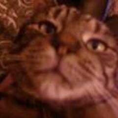 fearodme's profile picture. Bass, Beer and Bikes. young!