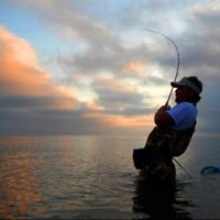 Capt Ronnie Daniels (@fishermanguide1) 's Twitter Profile