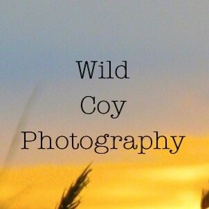 Photographer, Wildlife Lover