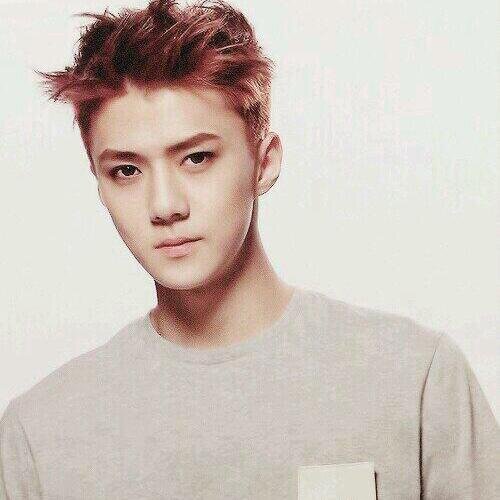 เป็นsone~exofan~ ฮุนฮาน ชานแบค ไคโด้ คริสเลย์ เฉินหมิน เทาโฮ///สมัครไว้ฟอล รี เทรน มาฟอลเล่นฟอลหัวแอคนี้ดีกว่า ~ @2p2sh_onlysehun @2p2sh_onlysehun ^~^