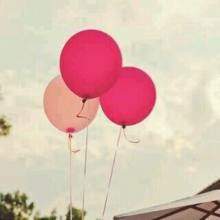 ‏ذاتَ الـ18 ربِيعاً ، ملكةٌ على عرشِ أغسطُس ♔ 
طَالبة أحَياء ، أطمحُ لأحققَ ذاتَ يوم ما صَبرتُ لأجله♪
بحَرانِية - أشتاقُ لِرحم الحُرية .. ميدّان الشُهداء ✌❤