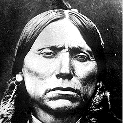 dalilinoo's profile picture. Freedom and Justice for the World