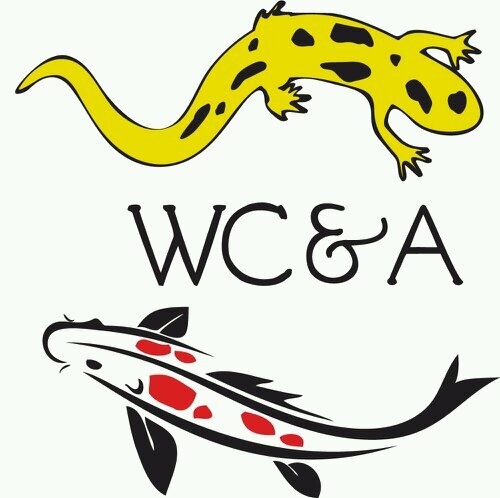 kikqua's profile picture. 