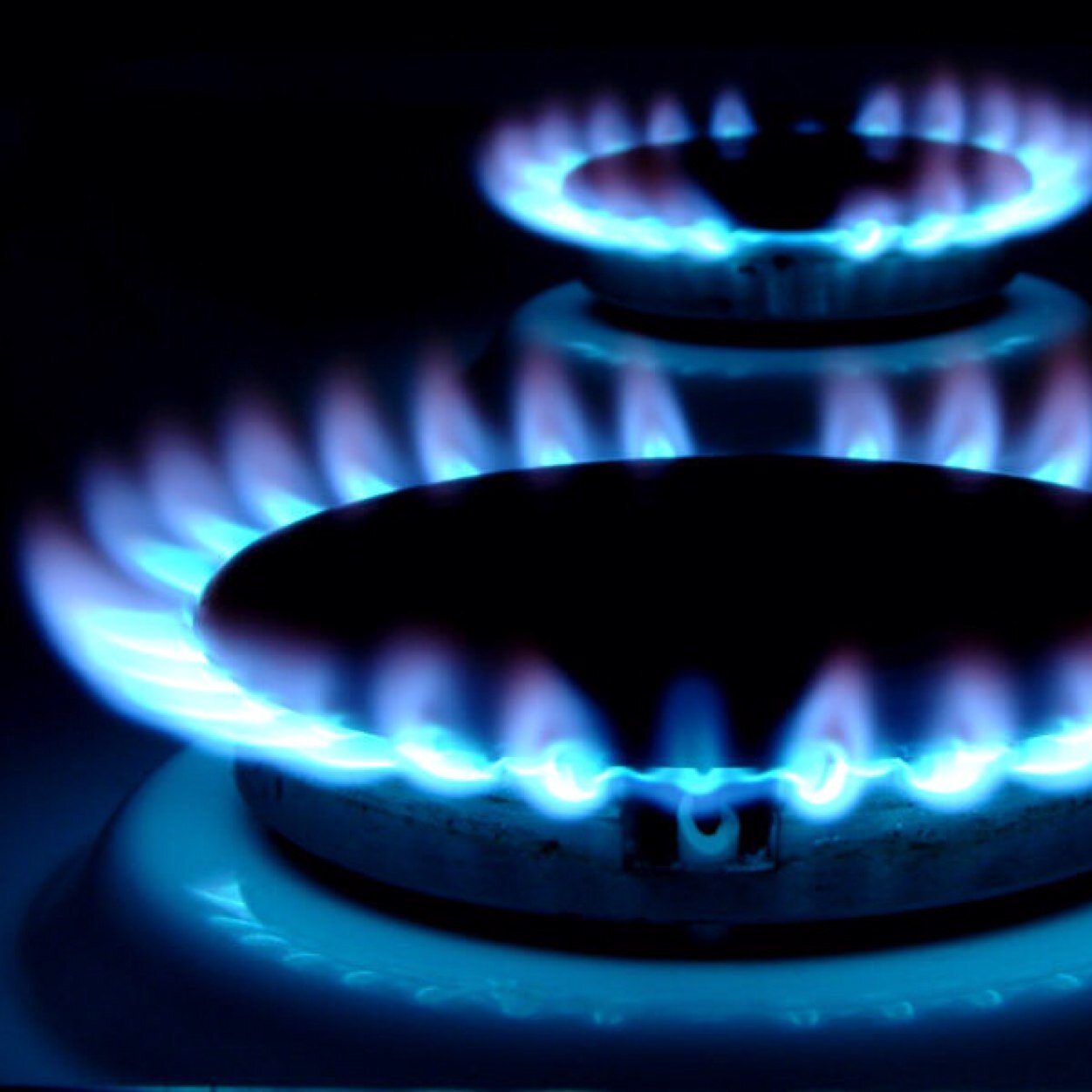 NatGas1's profile picture. 