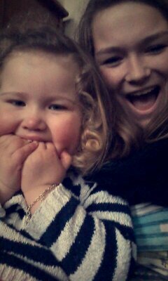 koala leven