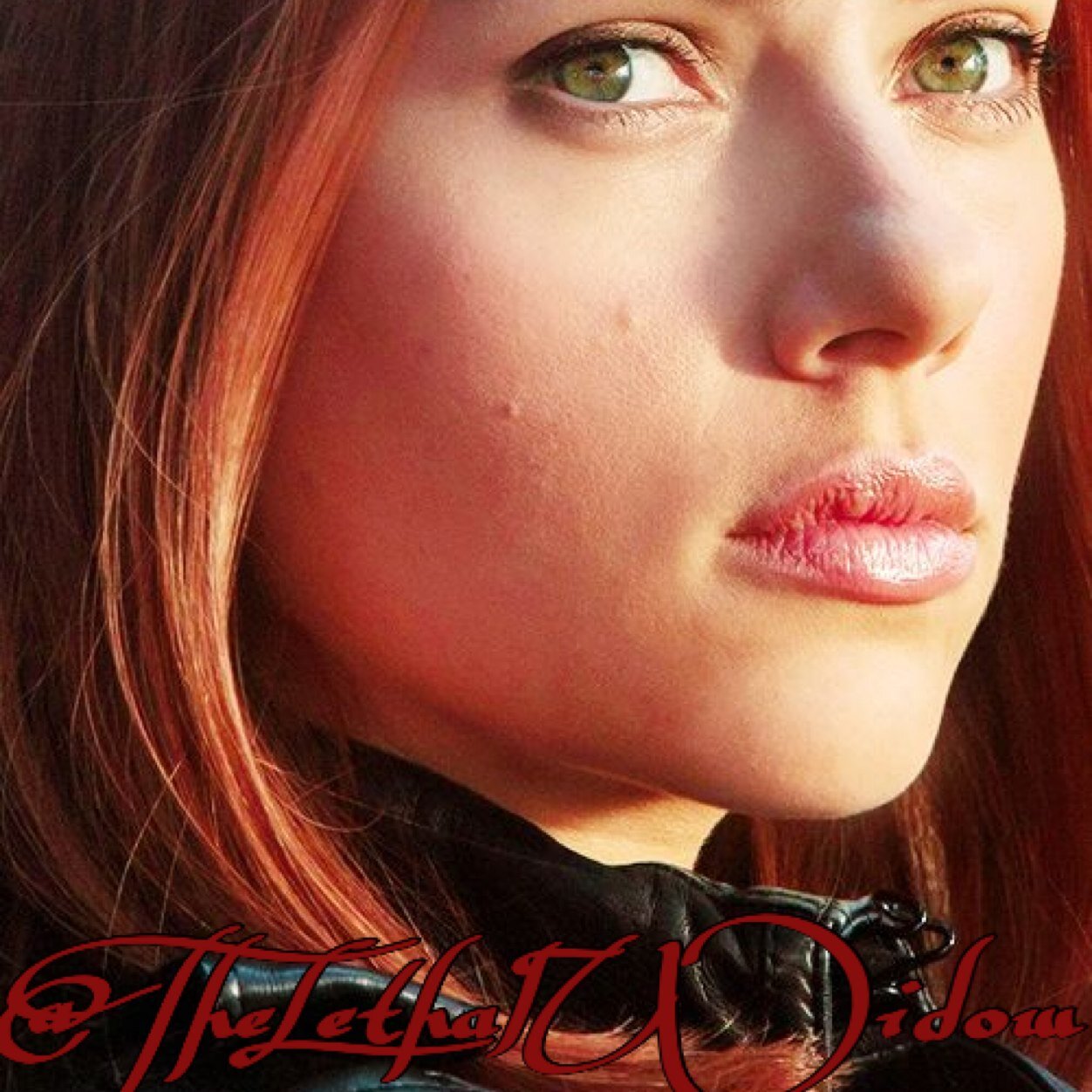 I do what needs to be done. Some I'm proud of; Some, not so much. One thing is for certain, I never fail. I am The Black Widow™ #TryingToResist @TheSuperSoIdier