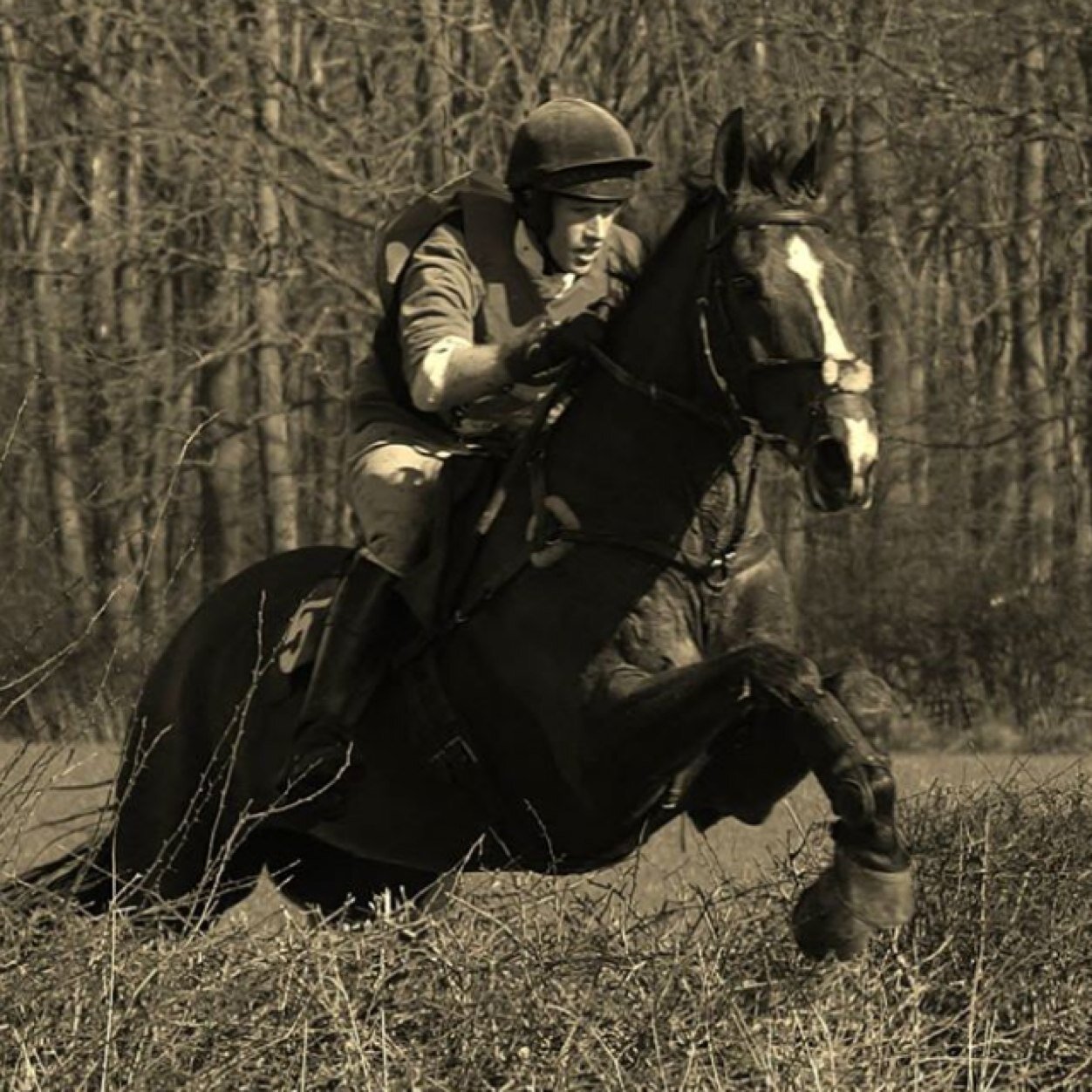 Farmer.

Live for open fields, running dogs & galloping horses!