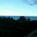 Marcus Schubert - @Z24Dawg89 - Twitter