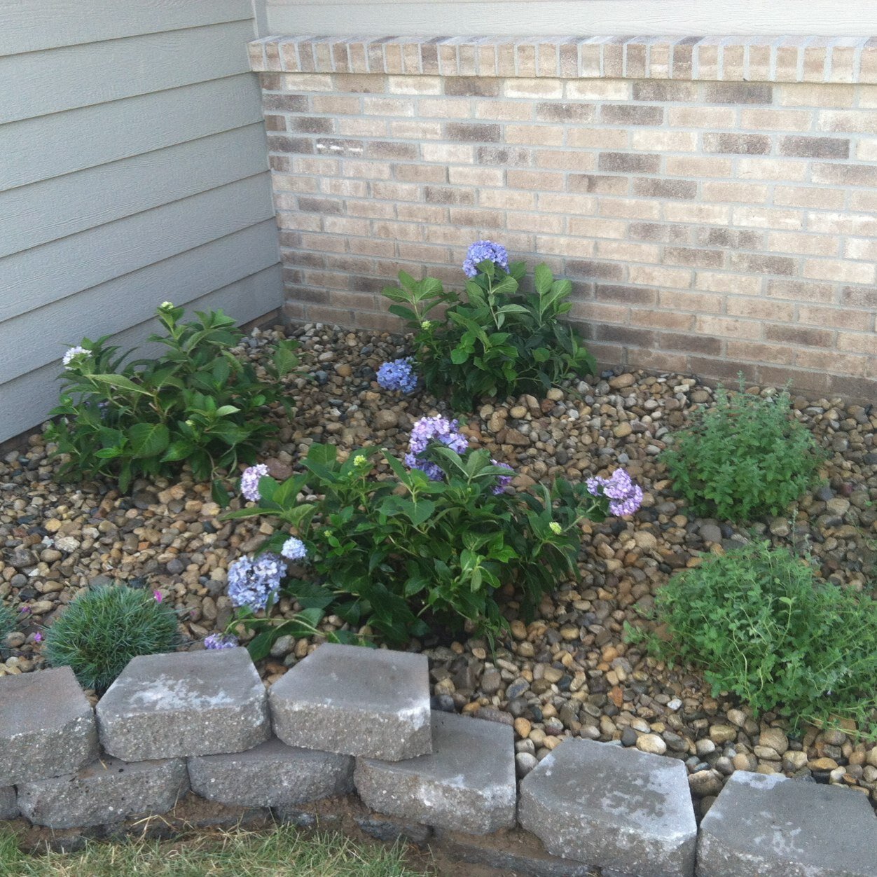 Landscape design and installation services located in Lincoln, Nebraska. Let us put our professional expertise to work for you. #Nebraska #LNK
