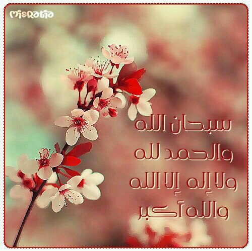 ‏‏‏طالبة جامعية أملي ان اكون في القمة في جميع نواحي الحياة