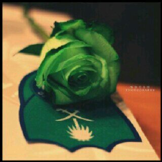 ‏اهلاوي صميم ♥♡