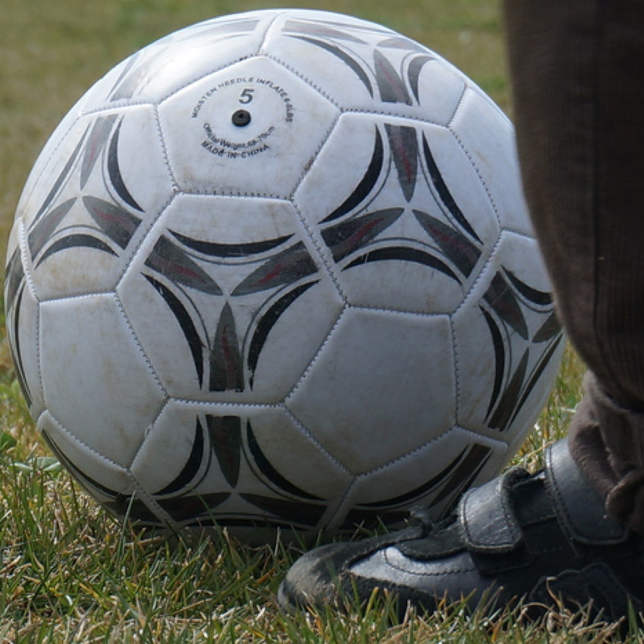 CampusCapricho's profile picture. 