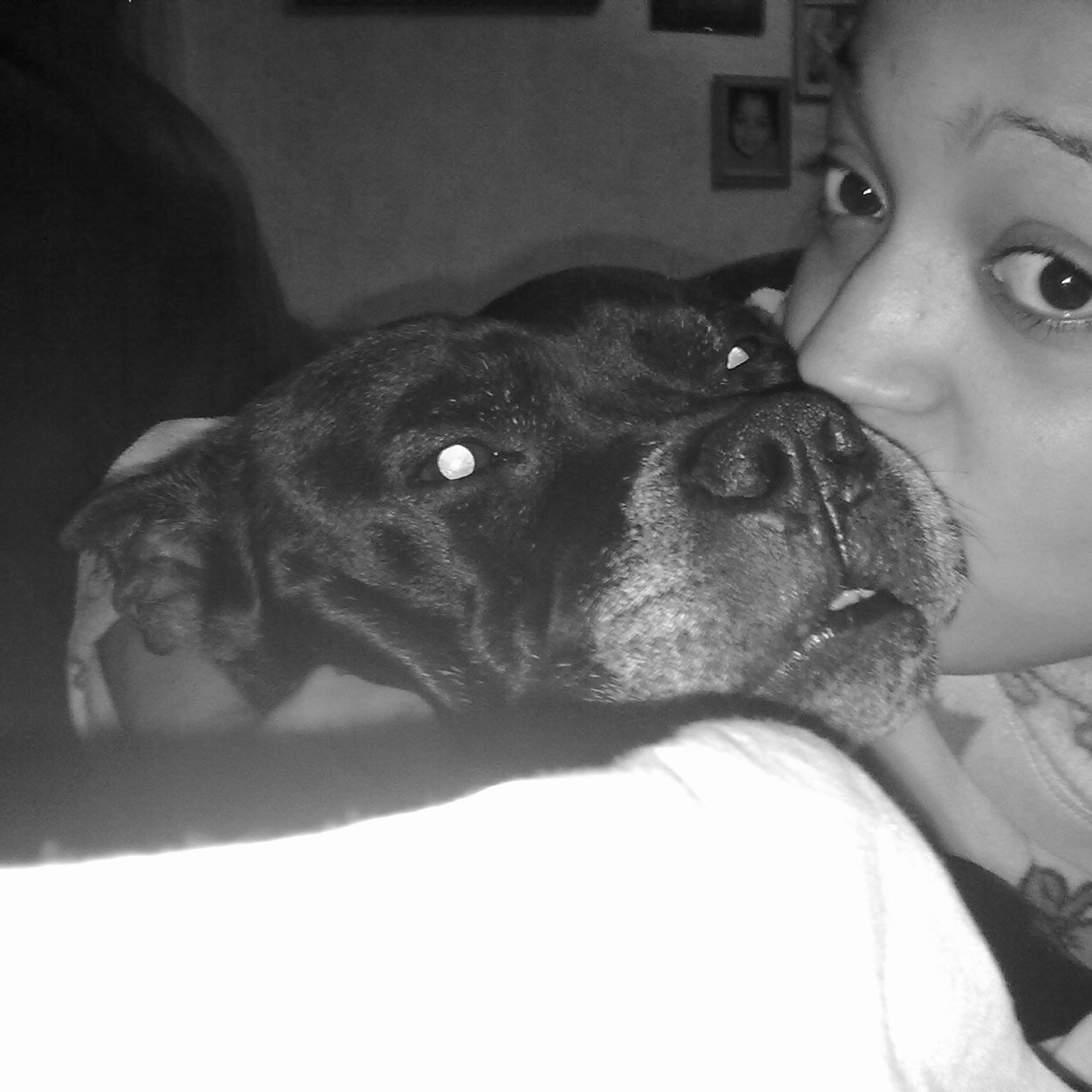 caven89's profile picture. Wish monkeys can skype, maybe one day!BLACKBERRY PIN:26C4C66D