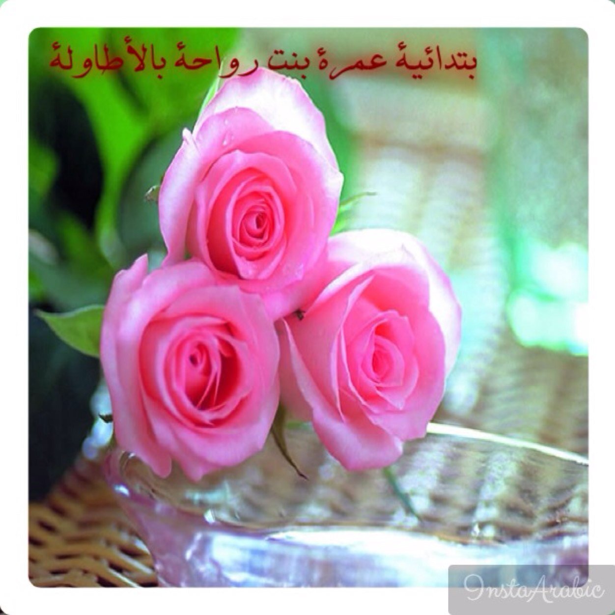 AmraBintrawaha's profile picture. إبتدائية عمرة بنت رواحة بالاطاولة للبنات