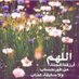 مروان العوفي (@mroan87931719) Twitter profile photo مروان العوفي (@mroan87931719) Twitter profile photo