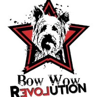 Bow Wow Revolution  (@bowwowrescue) Twitter profile photo