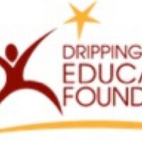 DS Ed Foundation (@dsedfoundation) 's Twitter Profile