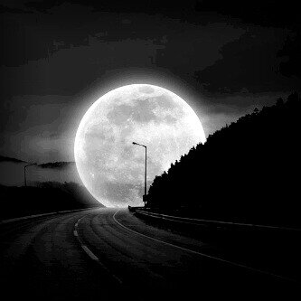 تغريدَآتيَ بَـ:مفضَلتيَ..♡♥