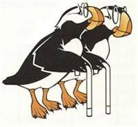 HomerSeniorCiti's profile picture. All Homer Senior Citizens have opportunities to live life to its fullest!