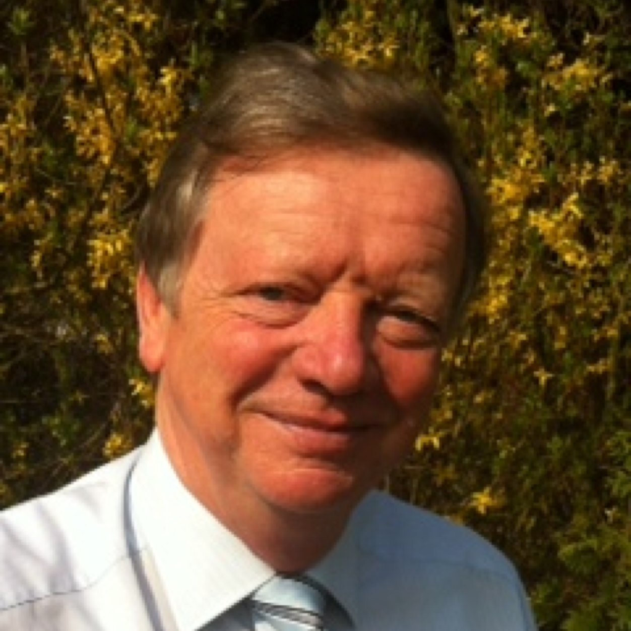 hbheischwalbe's profile picture. Dipl. Ing. Unternehmensberater für soziale und effiziente Betriebsführung / Senior Consultant offshore wind & gas production- /gas storage; Due-Diligence