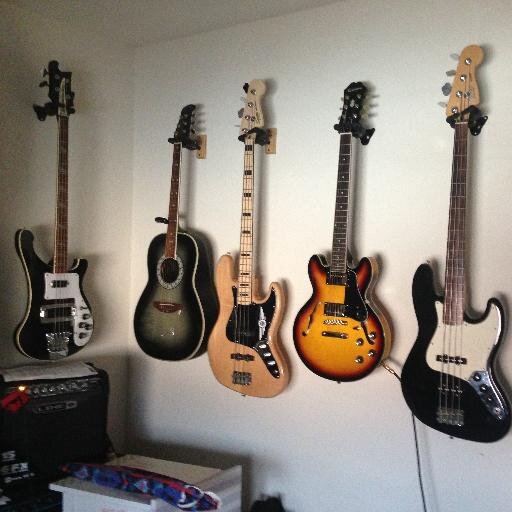 Dad, Husband, Bassist, Goober.  Out there trying to make folks smile!  And as always...Chinchillas Abound!!!