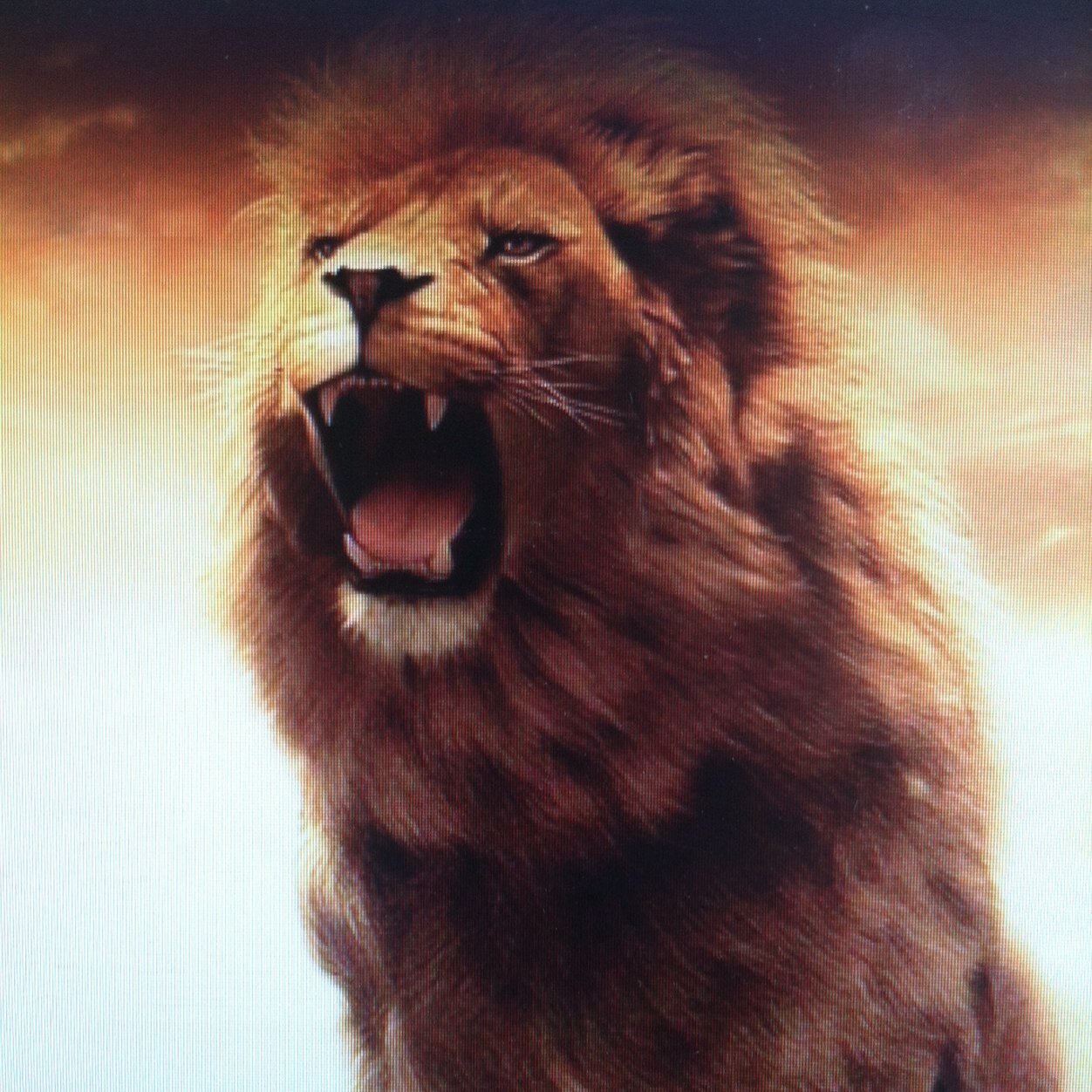 In any fight, the one who is WILLING TO DIE and put everything on the line, is going to WIN THAT FIGHT.