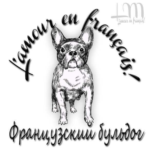 lamourenfran's profile picture. Saving one dog will not change the world .. But the world has undoubtedly changed for that one dog! ..