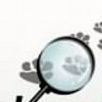 tracking paws (@trackingpaws) 's Twitter Profile Photo tracking paws (@trackingpaws) 's Twitter Profile Photo